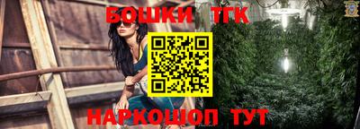 МДПВ Бийск