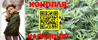 МДПВ Бийск