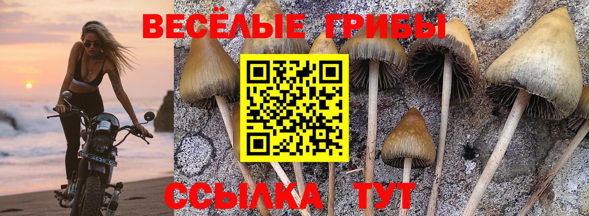 Псилоцибиновые грибы прущие грибы Камышин