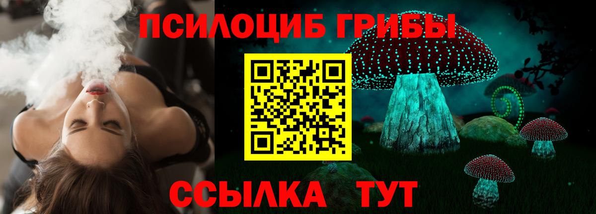 наркота  Галлюциногенные грибы Psilocybine cubensis  Вход с VPN  Камышин 